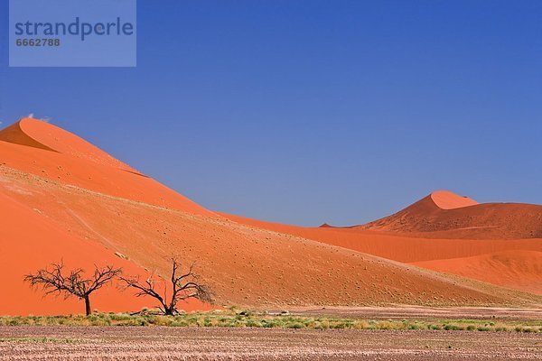 Düne  Namibia  Namib  Sossusvlei