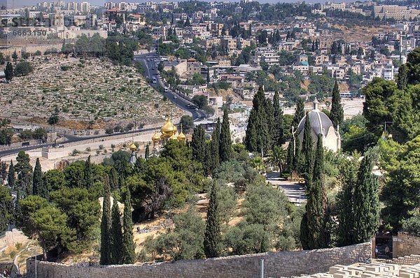 Jerusalem  Hauptstadt  Ansicht  Berg  Olive