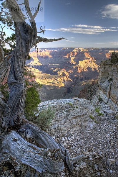 Ansicht  Grand Canyon  Utah