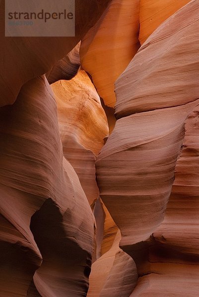 Vereinigte Staaten von Amerika  USA  Arizona  Antelope Canyon