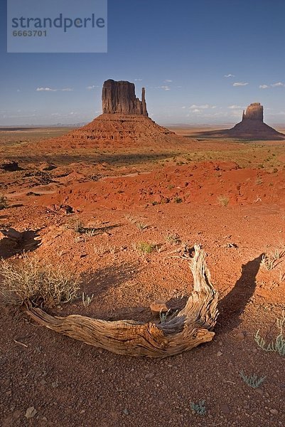 Vereinigte Staaten von Amerika  USA  Arizona  Kayenta  Arizona  Monument Valley