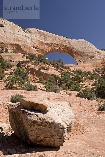 Vereinigte Staaten von Amerika  USA  Arches Nationalpark  Utah
