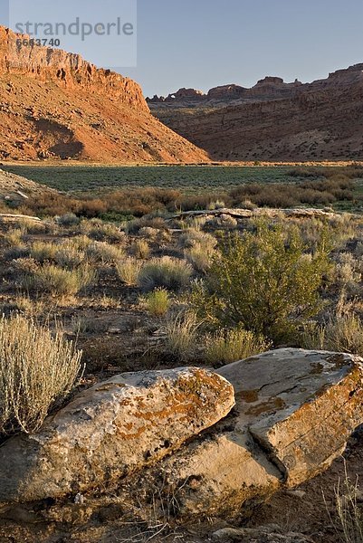 Arches Nationalpark  Utah  USA