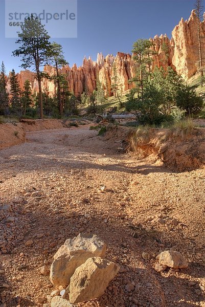 Vereinigte Staaten von Amerika  USA  Bryce Canyon Nationalpark  Utah