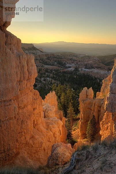 Vereinigte Staaten von Amerika  USA  Bryce Canyon Nationalpark  Utah