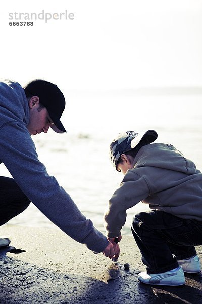 Strand  Forschung