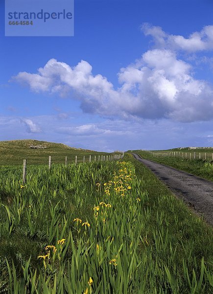 Europa  Schottland