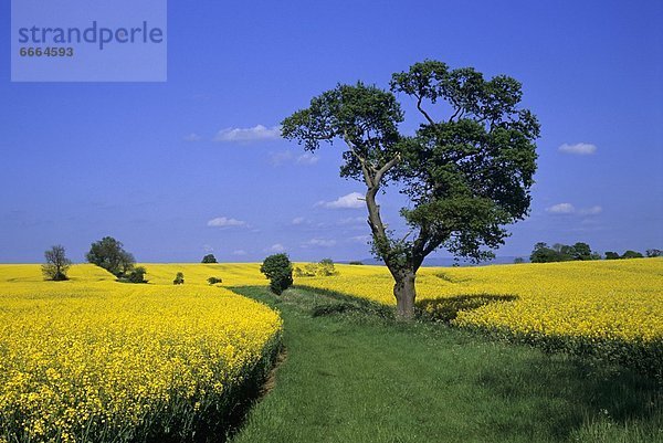 England  North Yorkshire