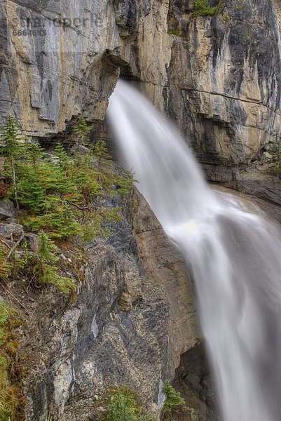 Panther Falls  Banff National Park  Alberta  Canada