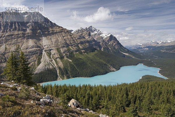 Peyto Lake  Banff-Nationalpark  Alberta  Kanada
