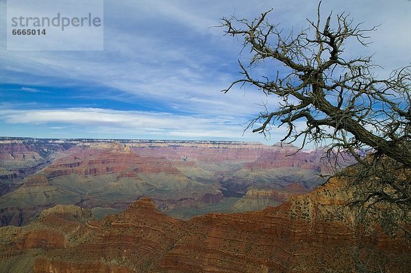 Vereinigte Staaten von Amerika  USA  Arizona  Grand Canyon Nationalpark