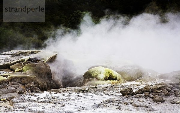 Neuseeland  Rotorua