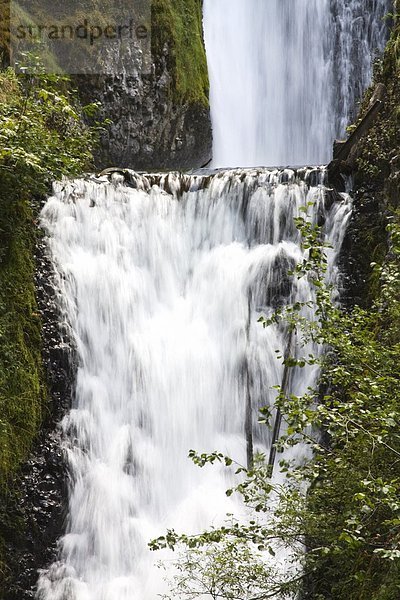 Vereinigte Staaten von Amerika  USA  Columbia River Gorge  Oregon