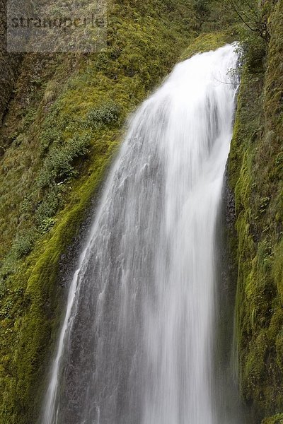 Vereinigte Staaten von Amerika  USA  Columbia River Gorge  Oregon