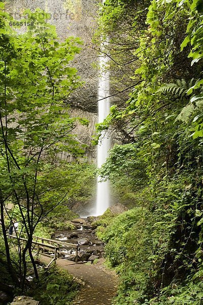 Vereinigte Staaten von Amerika  USA  Columbia River Gorge  Oregon