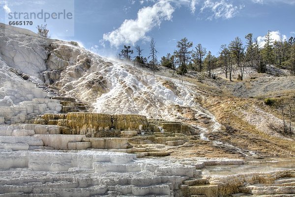 Vereinigte Staaten von Amerika  USA  Yellowstone Nationalpark