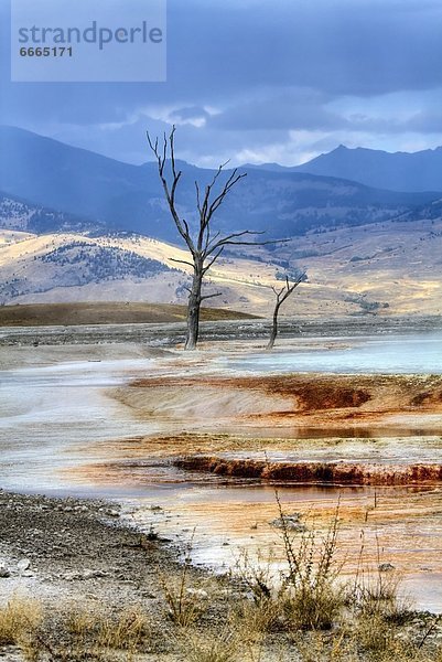 Vereinigte Staaten von Amerika  USA  Yellowstone Nationalpark