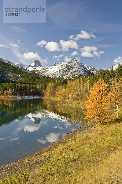 Kananaskis Country  Alberta  Kanada