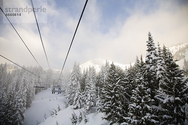 Vereinigte Staaten von Amerika  USA  Berg  Urlaub  Ski  Skilift  Mount Rainier Nationalpark  Kristall