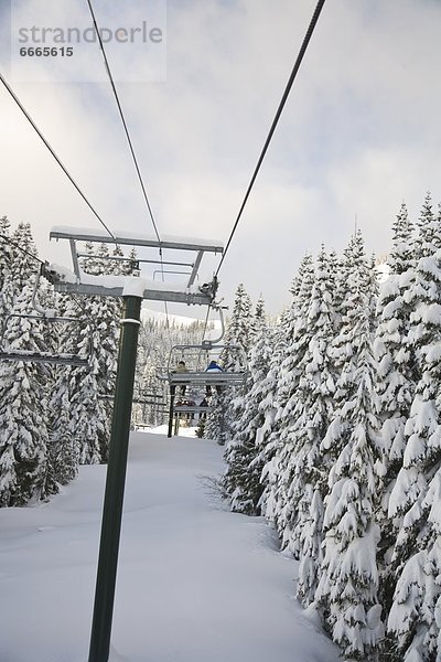 Vereinigte Staaten von Amerika  USA  Berg  Urlaub  Ski  Skilift  Mount Rainier Nationalpark  Kristall