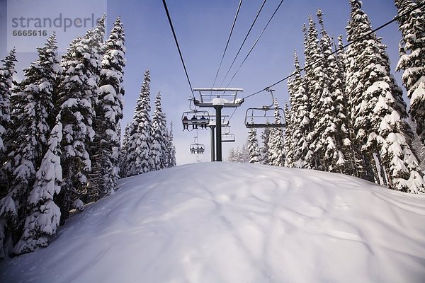 Vereinigte Staaten von Amerika  USA  Berg  Urlaub  Ski  Skilift  Mount Rainier Nationalpark  Kristall