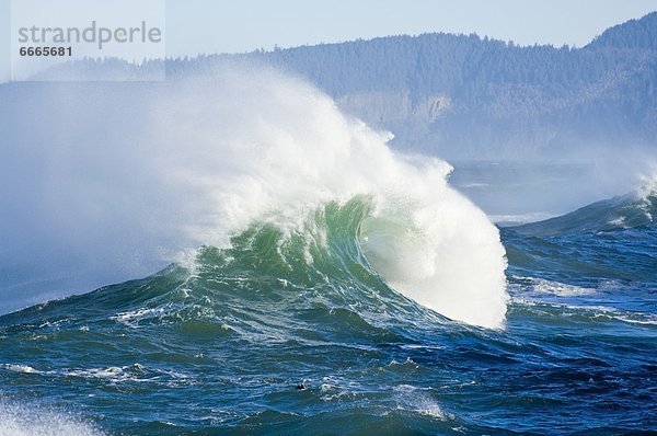 Vereinigte Staaten von Amerika USA Cape Kiwanda State Natural Area Oregon