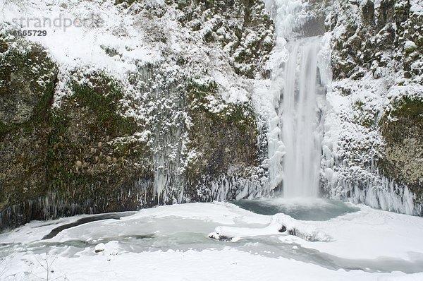 Vereinigte Staaten von Amerika  USA  Columbia River Gorge  Oregon