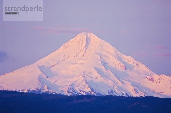 Vereinigte Staaten von Amerika  USA  Mount Hood  Oregon