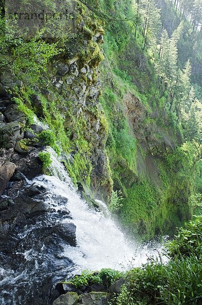 Vereinigte Staaten von Amerika  USA  Multnomah Falls  Columbia River Gorge  Oregon