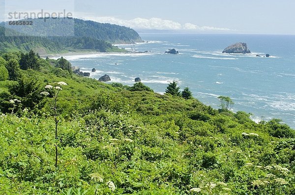 Vereinigte Staaten von Amerika  USA  Kalifornien  Crescent City