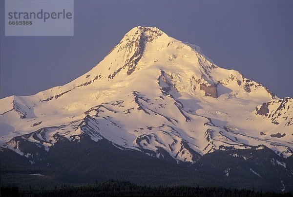 Vereinigte Staaten von Amerika  USA  Mount Hood  Oregon