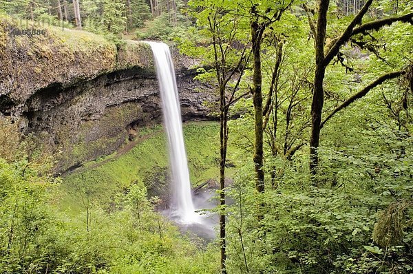 Vereinigte Staaten von Amerika  USA  Oregon