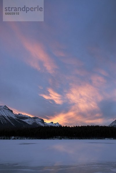 Herbert Lake  Banff-Nationalpark  Alberta  Kanada
