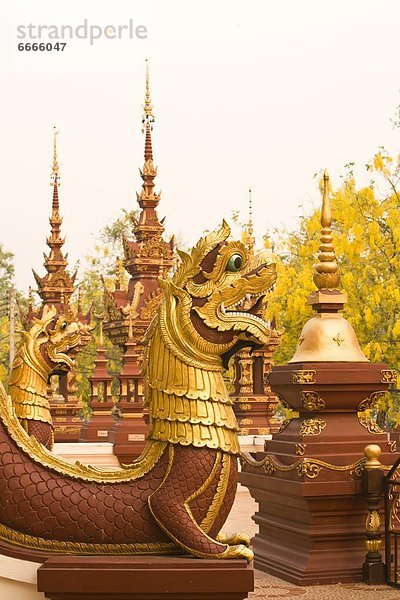 Südostasien  Chiang Mai  Thailand