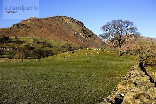 Cumbria  England