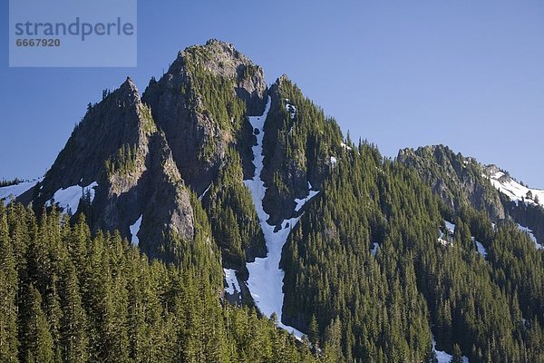 Vereinigte Staaten von Amerika  USA  Mount Rainier Nationalpark