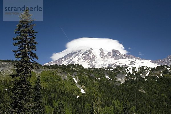 Vereinigte Staaten von Amerika  USA  Mount Rainier Nationalpark  Washington State