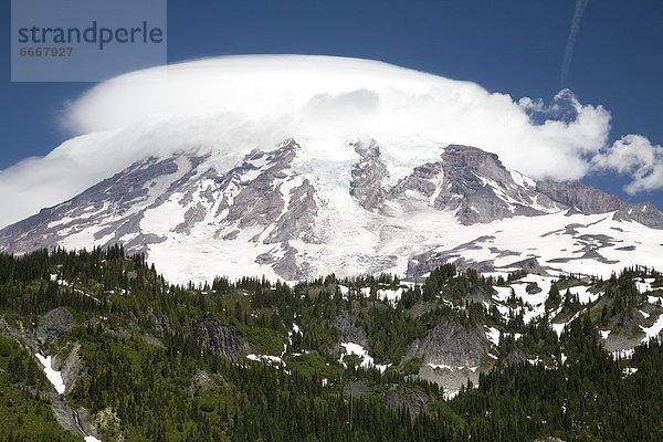 Vereinigte Staaten von Amerika  USA  Mount Rainier Nationalpark