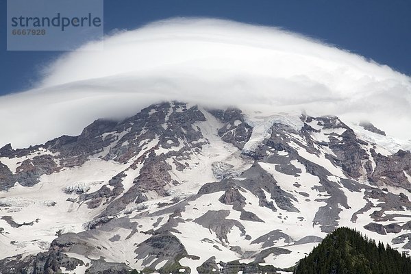 Vereinigte Staaten von Amerika  USA  Mount Rainier Nationalpark  Washington State