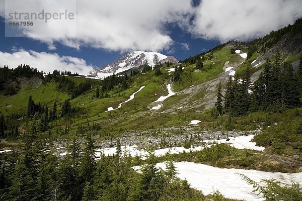 Vereinigte Staaten von Amerika  USA  Berg  Mount Rainier Nationalpark  Schnee