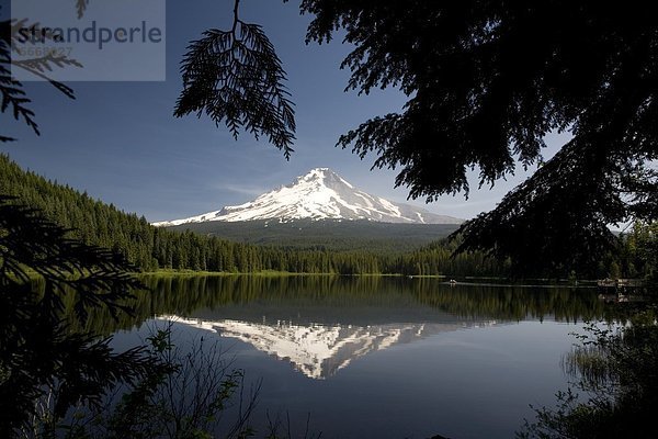 Vereinigte Staaten von Amerika  USA  See  Spiegelung  Berg  Kapuze  Oregon