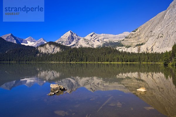 Elch  Alces alces  Berg  See  Ländliches Motiv  ländliche Motive  British Columbia  Kanada