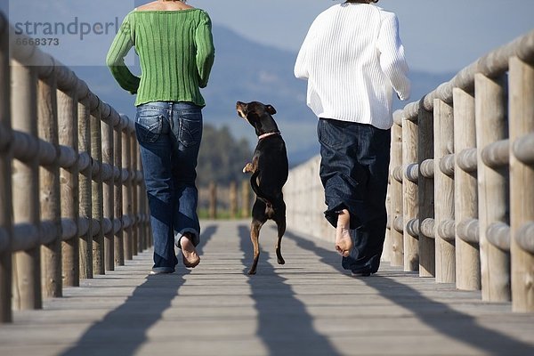 Mensch  zwei Personen  Menschen  rennen  Hund  2