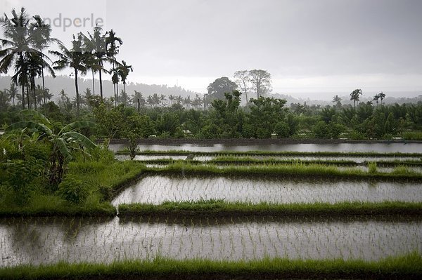 Indonesien