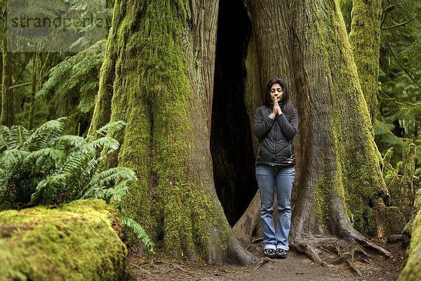 Frau  Baum  Meditation  jung  Tanne  Cathedral Grove  British Columbia  Kanada  MacMillan Provincial Park  Vancouver Island