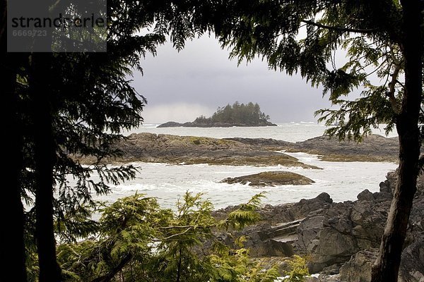 Tofino  British Columbia  British Columbia  Kanada