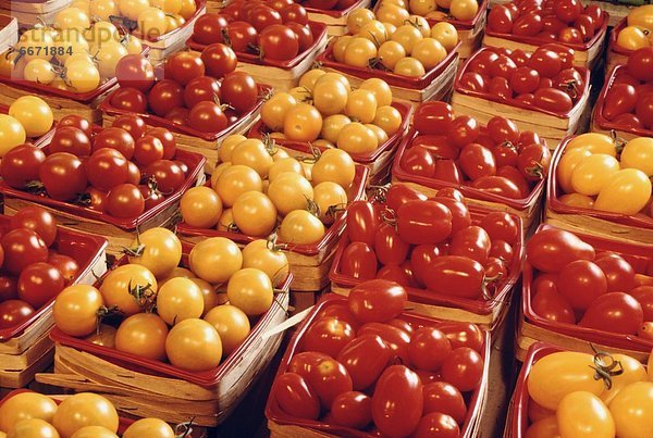 Tomate  Markt