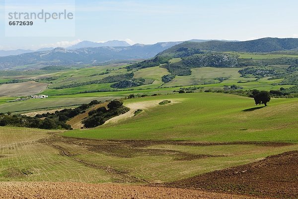 Hügel  Andalusien  Malaga  Spanien