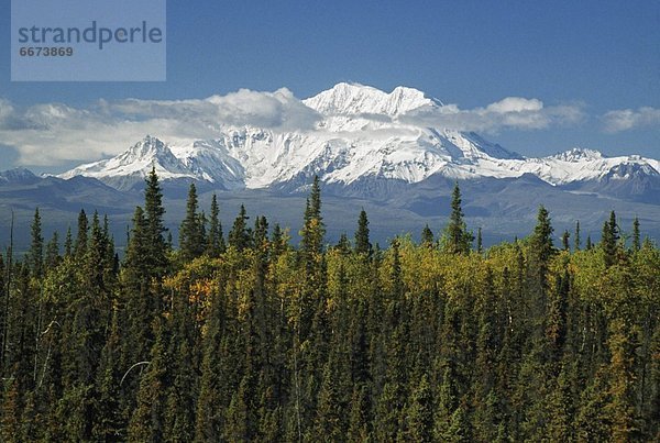 Alaska  Wrangell Mountains