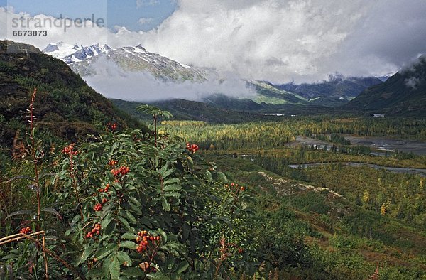 Chugach Mountains  Alaska